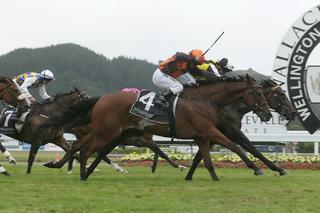 Karaka Graduate Savaria (NZ) In Form With Wellington Cup Win. Photo: Trish Dunell.